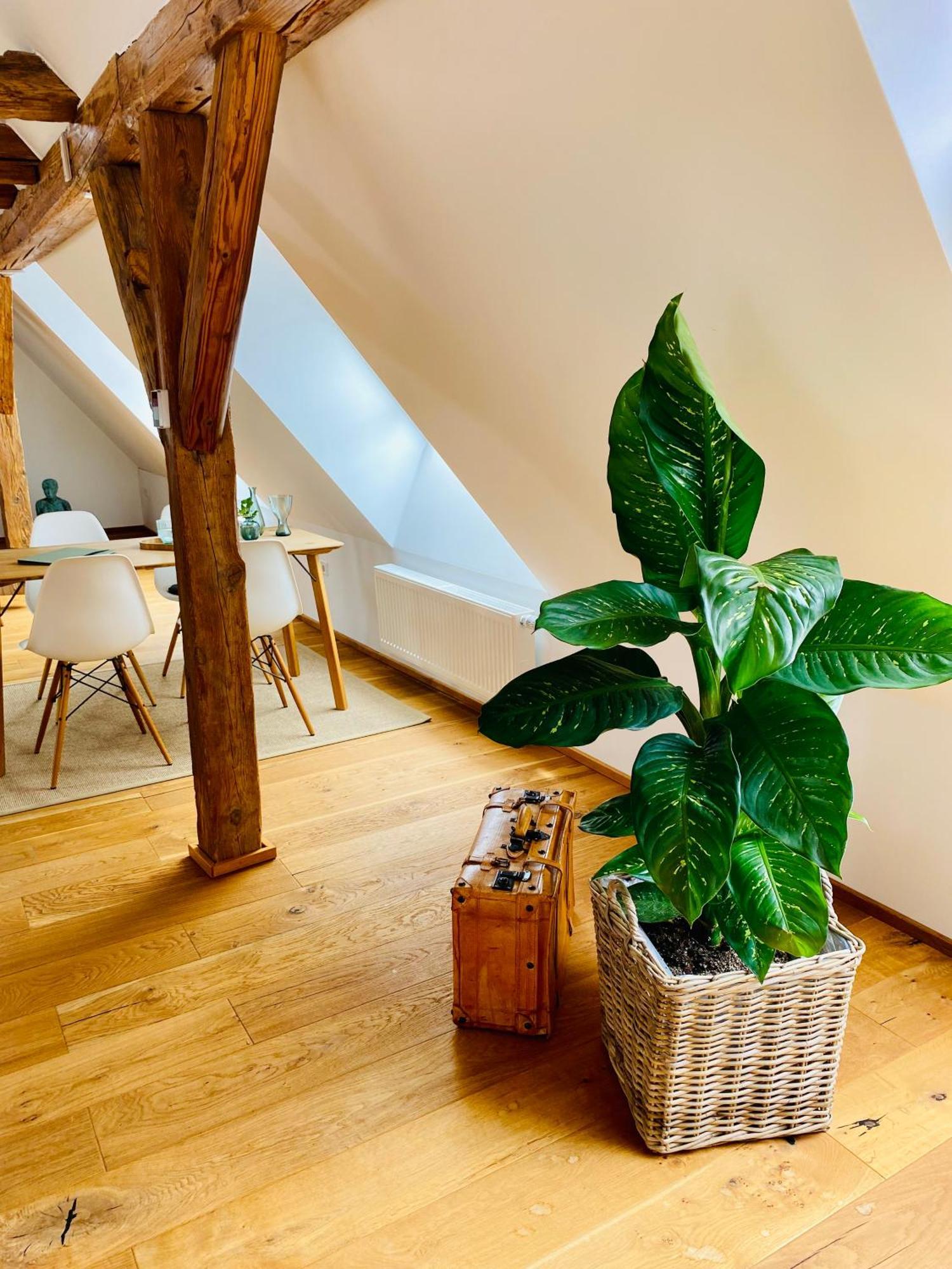 Apartment Am Schlosshof Besigheim Extérieur photo